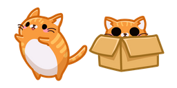 Cute Orange Cat in Box